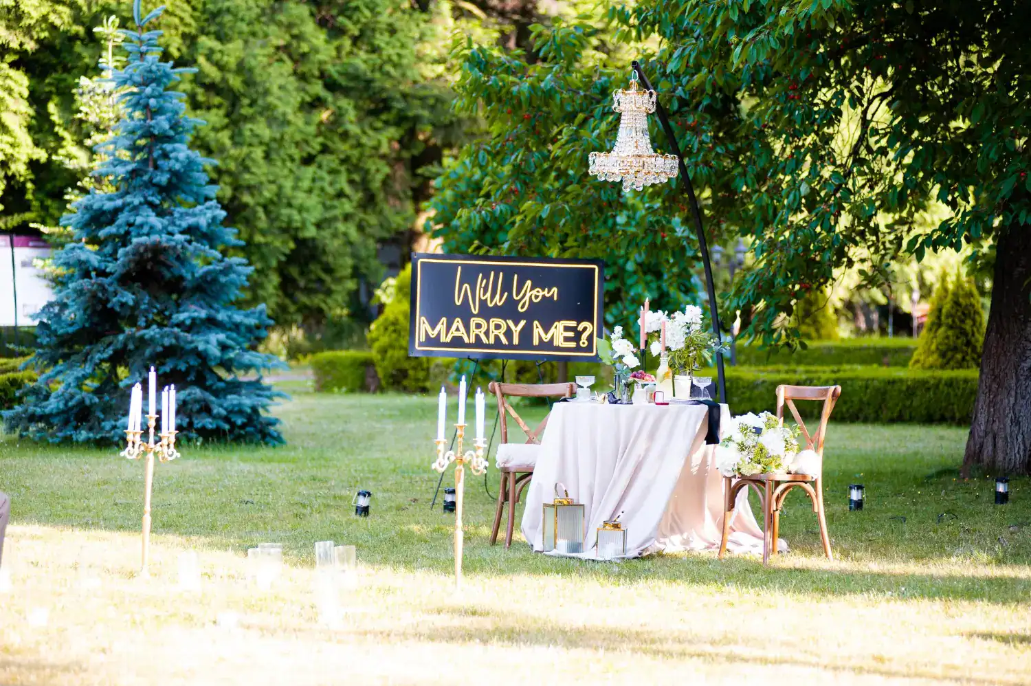 Romantic outdoor marriage proposal with a "Will You Marry Me?" sign, elegant table, and floral decor.