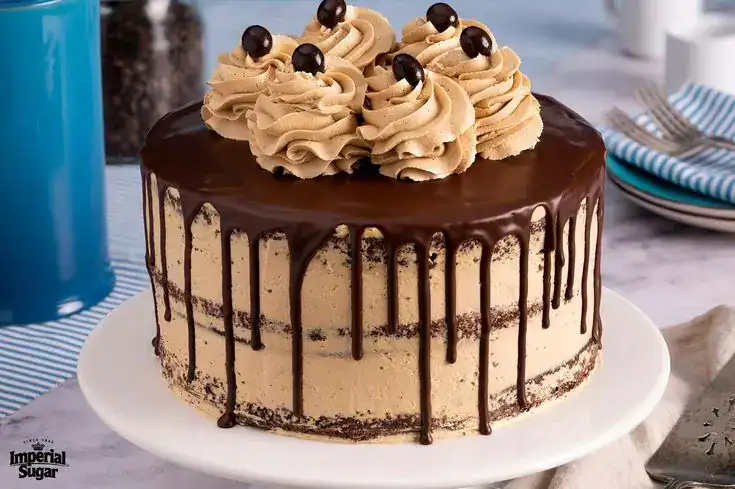 Mocha birthday cake with coffee buttercream rosettes, chocolate ganache drizzle, and espresso bean garnish for coffee lovers