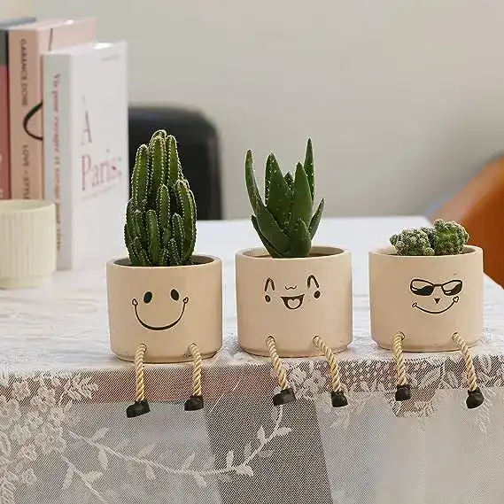 Cute smiley face plant pots for housewarming gifts.