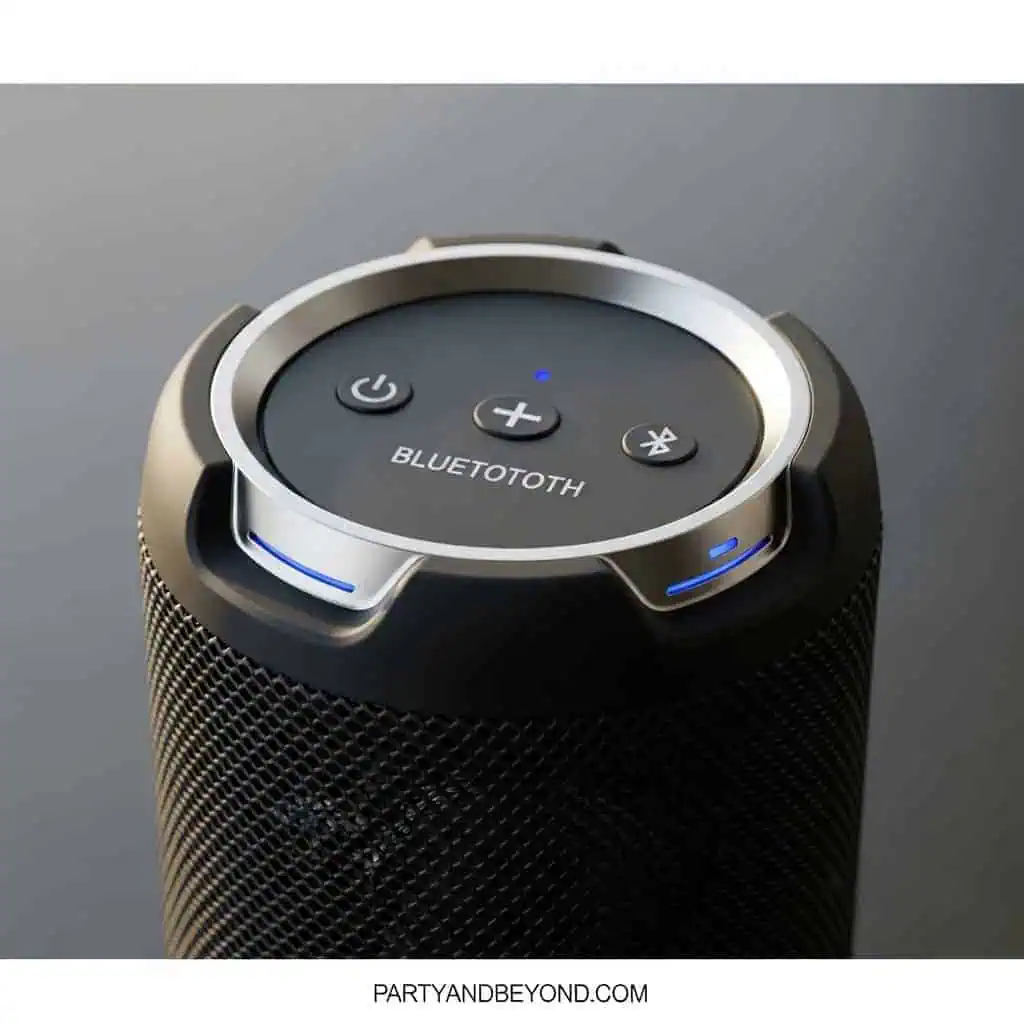 Bluetooth speaker for 21st birthday celebration.
