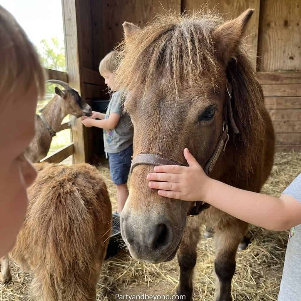 Cute kids petting ponies during a cowgirl-themed birthday celebration.