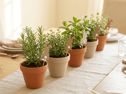 Small potted herbs with bunny-shaped plant markers for Easter table decoration.