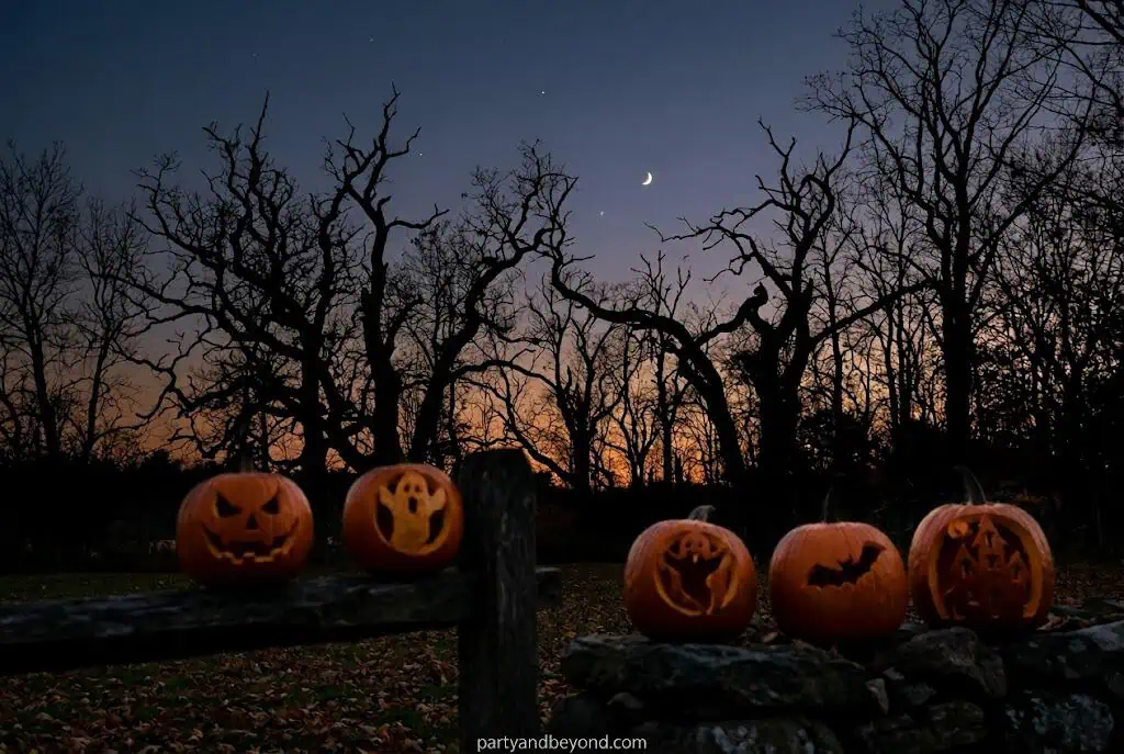 Pumpkin carved with spooky haunted forest and bare tree silhouette.