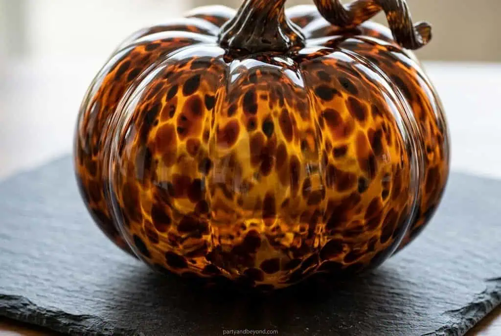 Pumpkin with amber, brown, and black tortoiseshell effect pattern
