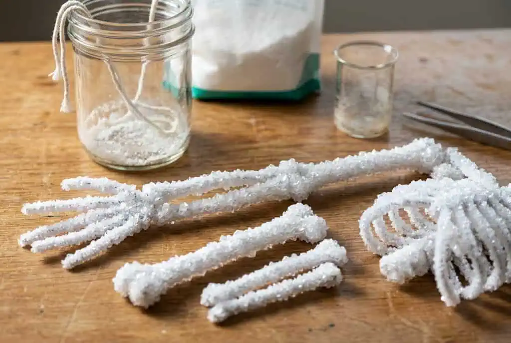 borax crystal skeleton Halloween experiment overnight Simple and Fun Halloween Science Experiments for Kids