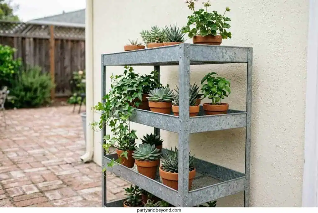 : Tiered plant stand displaying mini pumpkins, gourds, and colorful mums.