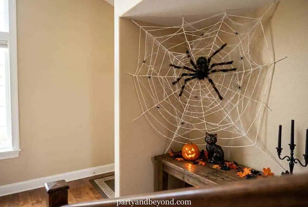 Giant Corner Spider Web